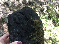 -峡谷浮石林景区