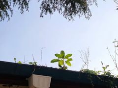 -青岛德国监狱旧址博物馆