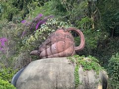-雁南飞茶田景区