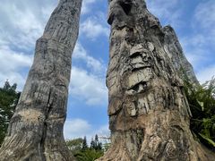 -深圳仙湖植物园