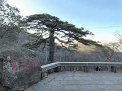 -黄山风景区