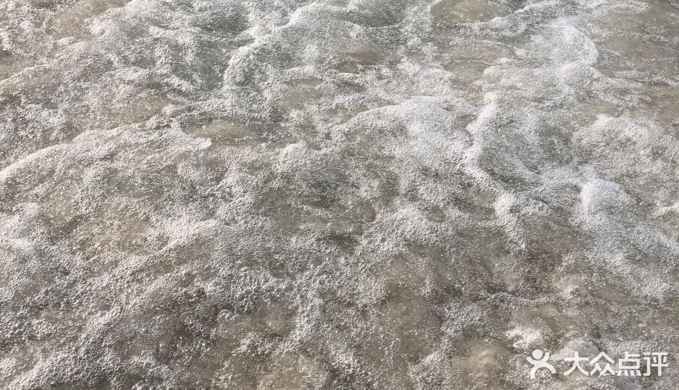 玩海玩水玩动物，当然优选无与伦比的欧乐堡