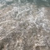 玩海玩水玩动物，当然优选无与伦比的欧乐堡