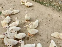 -盈香心动乐园