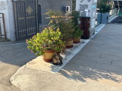 -聚农庄民宿农家院(梨木台东山店)