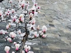 -东华门大街小区