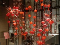 -墨宴(西洋湖店)