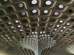 -贾特拉帕蒂·希瓦吉国际机场