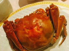 -王宝和酒家(黄浦店)
