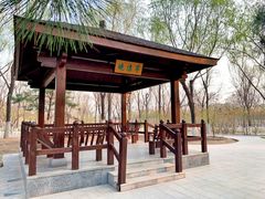 -大兴滨河森林公园