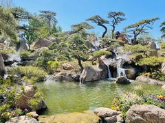 -罗红摄影艺术馆