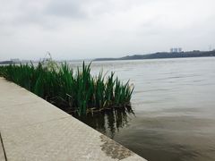 -星巴克(成都科学城店)