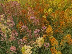 -中国天府农业博览园