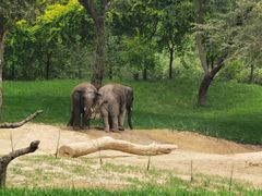 -北京野生动物园