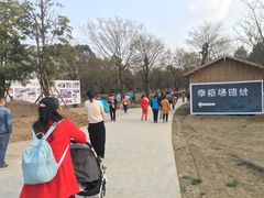 -秀丽东方