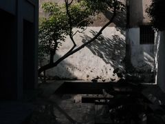 -成发鱼生