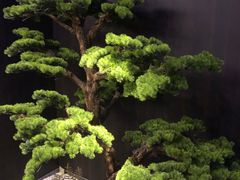 -大桶大足浴(瞿溪路店)