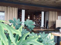 -Seesaw Coffee(朝阳大悦城店)