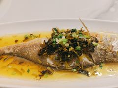 -老绍兴养和饭店(向阳不夜城店)