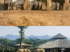 -杭州野生动物世界