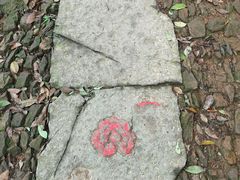 -西湖风景区十里琅珰-五云山