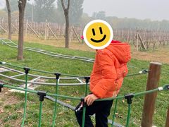 -圣露庄园·亲子活动乐园·露营·团建婚礼