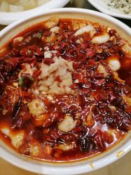 -青岛李沧绿城喜来登酒店·宴会厅