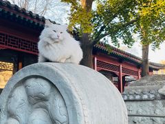 -北京石刻艺术博物馆(五塔寺)