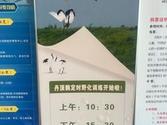 -盐城丹顶鹤湿地生态旅游区