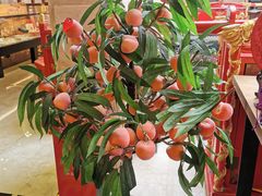 -御茶膳房皇家糕点博物馆(北京首店)
