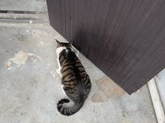 -苏州工学院(东湖校区)