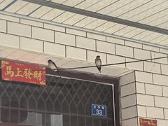 -海窝子古镇