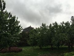 -大明幻境第一城
