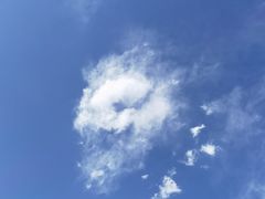 -迎泽公园