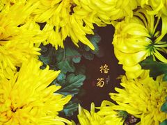 -汇龙潭