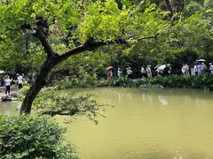 -岳麓山风景名胜区