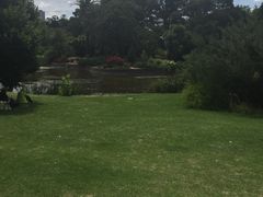 -墨尔本皇家植物园