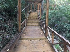 -大岭沟猕猴桃谷风景区