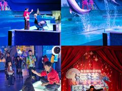 -南昌融创海世界