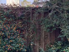 -南紀白浜 浜千鳥の湯 海舟