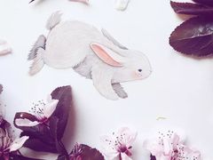 -八哥美术·成人美术画室(总校区)