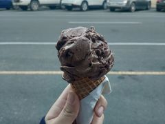 巧克力-Dooley's Premium Ice Cream