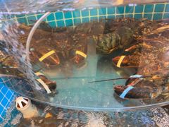 -蓝珊甄选海鲜自助·火锅大排档(近阿那亚店)
