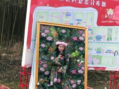 -黄海国家森林公园