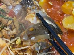 -黑猫馋纸包鱼(阳光店)