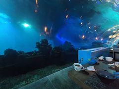 -海棠湾洲际-涛·海底餐厅·美人鱼·自助餐·海底隧道