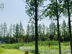 -前小桔亲子创意农场·草莓采摘·露营烧烤