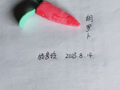-阿姨来了月嫂服务中心(徐汇店)