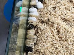 -昆明大悦城未来动物城(螺蛳湾中心店)
