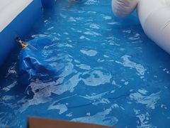 -小海豚国际游泳培训中心(松江九亭店)